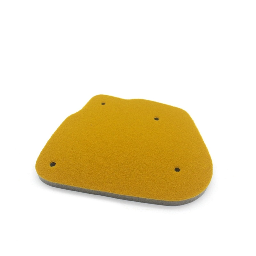 EPONGE FILTRE A AIR BWS