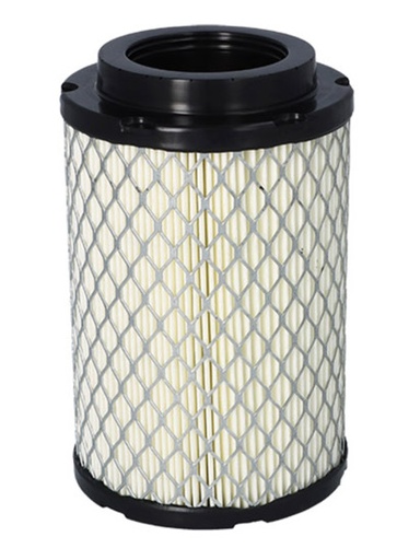 MIW FILTRE A AIR RE2007