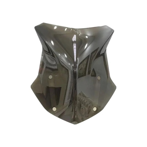 [ITM1009] BULLE FUMÉE BMW R1200 GS - R1250 GS