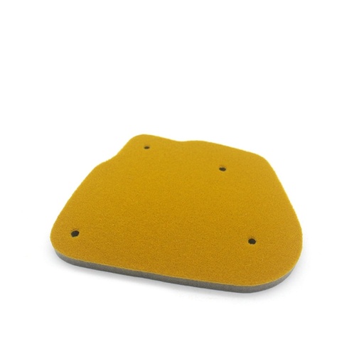 EPONGE FILTRE A AIR BWS